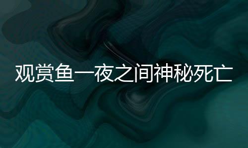 观赏鱼一夜之间神秘死亡，引发爱好者关注与热议